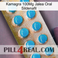 Kamagra 100Mg Oral Jelly Sildenafil new09